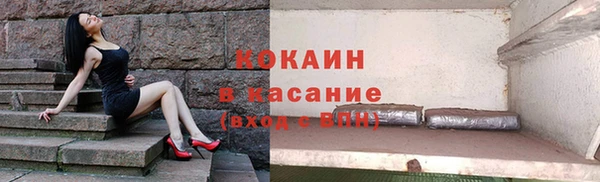 дживик Богородицк
