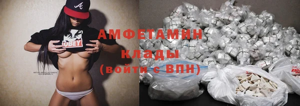 спиды Богданович