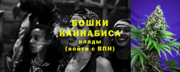 спиды Богданович