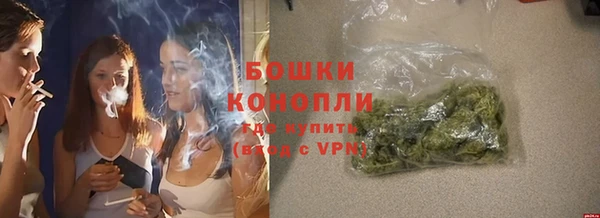 сатива Белоозёрский