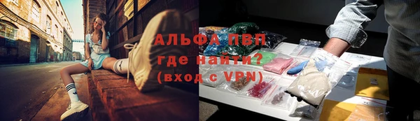 сатива Белоозёрский