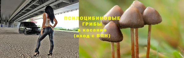 сатива Белоозёрский