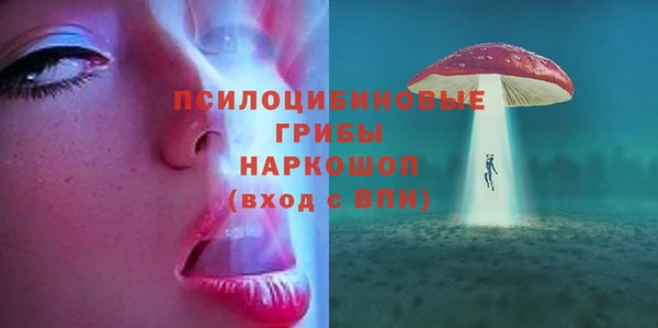 дживик Богородицк