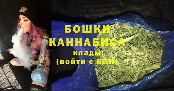 прущие грибы Богородск
