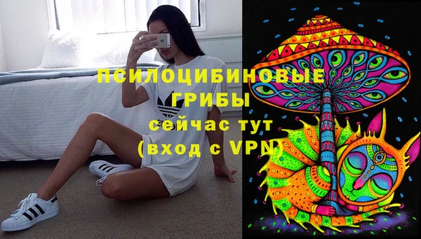 спиды Богданович