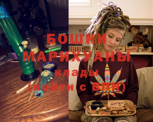 прущие грибы Богородск