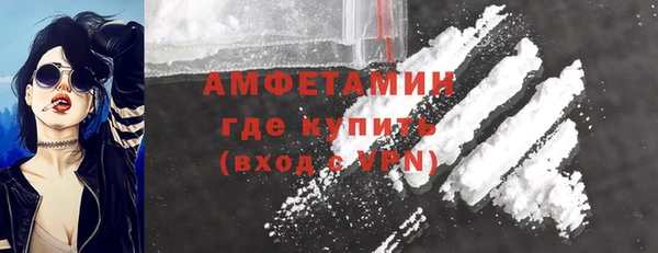 спиды Богданович