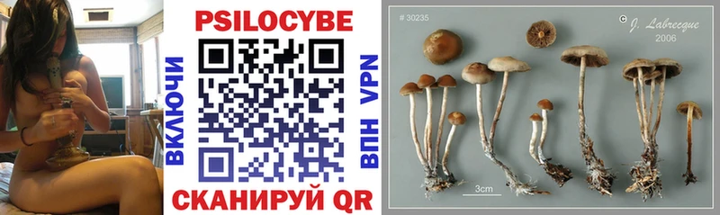 Псилоцибиновые грибы Magic Shrooms  Билибино 