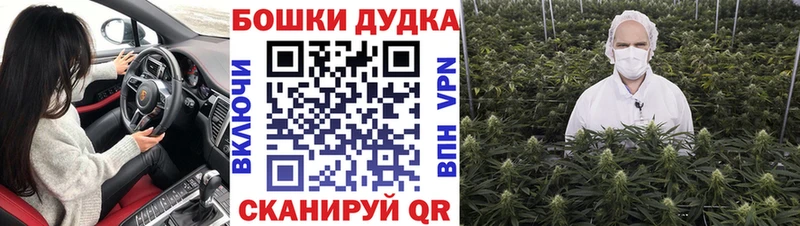 Каннабис гибрид Билибино
